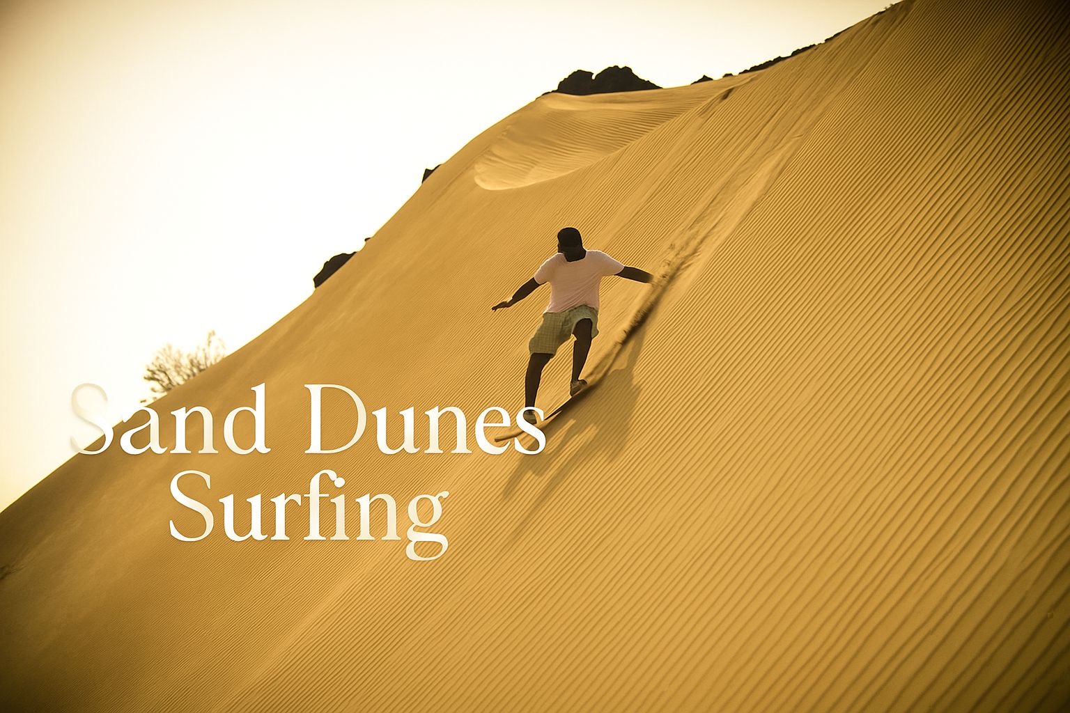 Fb34806b 890a 4c25 A6fa 3d928e5dfd15